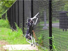 Clip: Robot có thể leo rào, mở cửa với giá 1.500 USD