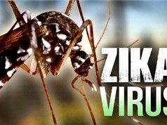 Thành phố Hồ Chí Minh công bố dịch Zika; Ra mắt chip 5G đầu tiên trên thế giới