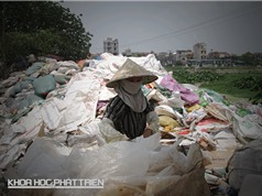 Phân loại rác - cái khó của Việt Nam
