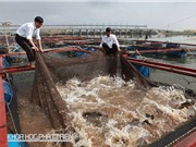 Nâng cao năng lực công nghệ tại Đồng bằng sông Cửu Long: Cần sửa đổi  cơ chế đặt hàng nhiệm vụ