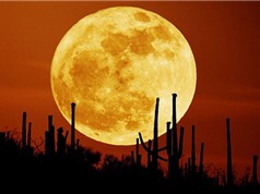 Ngày 14/11, người Việt được ngắm siêu trăng lớn nhất thế kỷ