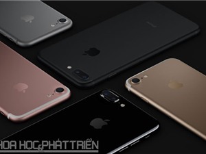 iPhone 7 và iPhone 7 Plus chính thức lên kệ ở Việt Nam