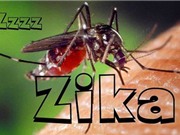 Bùng phát dịch sốt xuất huyết và Zika tại TP.HCM; Tổ chức tiêu huỷ 2 tấn ngà voi và 70 kg sừng tê giác
