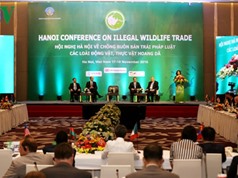 Việt Nam đăng cai hội nghị quốc tế bảo vệ động, thực vật hoang dã 