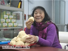 PGS-TS Nguyễn Thị Chính: Từ “bà chúa nấm” đến doanh nhân cừ khôi