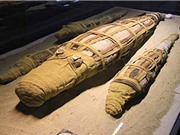 Phát hiện xác ướp cá sấu 2.500 năm ở Ai Cập