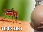 TP.HCM phát hiện thêm 9 thai phụ nhiễm virus Zika