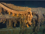 Tàu Titanic sẽ bị vi khuẩn "ăn sạch" trong 15 năm tới
