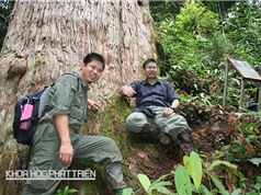 Nhà khoa học trẻ cho 3 loài cây “mượn” tên
