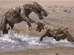 Phát hiện khối u cổ xưa nhất thế giới trên người khủng long ăn thịt