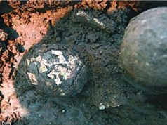 Phát hiện quả trứng 2.000 năm tuổi bên trong ngôi mộ cổ