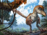Phát hiện phần đuôi khủng long 99 triệu năm trước