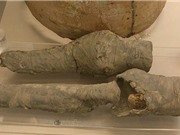 Tìm thấy đôi chân thất lạc của nữ hoàng Ai Cập 3.000 năm tuổi