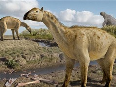Hóa thạch 'con lai' voi và ngựa ba triệu năm tuổi