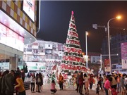 Chiêm ngưỡng những cây thông Noel “khổng lồ” tại Hà Nội