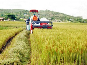 TPHCM hỗ trợ doanh nghiệp đổi mới công nghệ