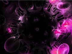 Những đột phá trong nghiên cứu HIV năm 2016