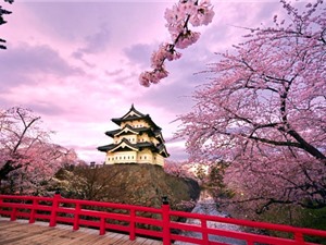 9 nguyên tắc ứng xử có thể khiến bạn lạ lẫm khi đến Nhật
