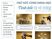 Thử sức cùng khoa học: Tinh hốc từ vỏ trứng