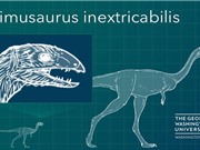 Phát hiện loài khủng long rụng sạch răng khi trưởng thành