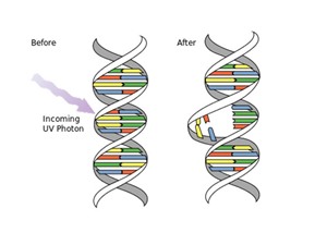 Dùng đột biến gene trị đột biến gây bệnh 