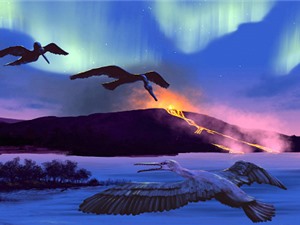Chim hóa thạch 90 triệu năm tuổi giúp dự đoán biến đổi khí hậu