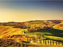 Vẻ đẹp của Tuscany - vùng đất khai sinh ra nền văn hóa Phục Hưng