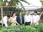 Bắc Giang: Nâng vị thế nông sản bằng công nghệ cao