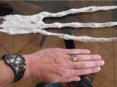 Phát hiện bàn tay siêu dài giống người ngoài hành tinh ở Peru