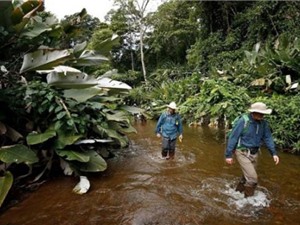 Thành phố thất lạc 500 năm chứa ký sinh trùng nguy hiểm chết người