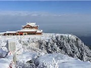 Chiêm ngưỡng vẻ đẹp của núi Nga Mi khi bị tuyết bao phủ