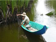Clip: Giăng lưới bắt cá sặc trong rừng U Minh