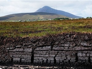 Nguy cơ bùng phát hàng tỷ tấn CO2 từ các đầm lầy than bùn Trung Phi