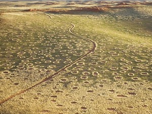 Giải mã bí ẩn các vòng tròn cát trên sa mạc Namib, Namibia