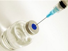 Cuba sản xuất hàng loạt vắc-xin chống bệnh tả lợn châu Phi