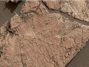 Bằng chứng cho thấy từng có sự sống từng tồn tại trên sao Hỏa