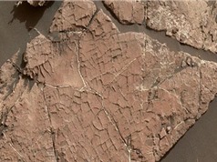 Bằng chứng cho thấy từng có sự sống từng tồn tại trên sao Hỏa