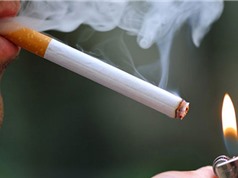 Thế giới thiệt hại hơn 1.000 tỷ USD mỗi năm vì thuốc lá