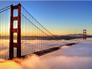 Vẻ đẹp của cây cầu "hot" nhất nước Mỹ