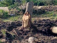 Khúc cây hình Chúa Jesus được người dân Argentina tôn thờ