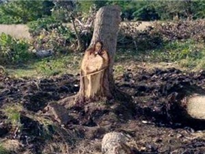 Khúc cây hình Chúa Jesus được người dân Argentina tôn thờ