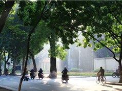 Dự báo thời tiết: Hà Nội nắng ấm, Nam Bộ mưa vài nơi
