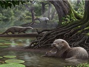 Hóa thạch rái cá hơn 6 triệu năm tuổi to như chó sói