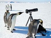 Những khám phá thú vị chỉ có ở Nam Cực