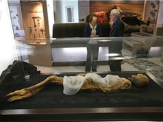 Phát hiện ra căn bệnh nghiệm trọng trong xác ướp "Công chúa Altai"