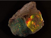 Viên đá opal đẹp nhất thế giới lần đầu ra mắt công chúng
