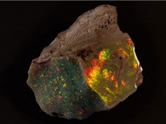 Viên đá opal đẹp nhất thế giới lần đầu ra mắt công chúng