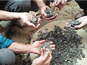 Nghệ An: Đào được 10 kg tiền cổ khi làm móng nhà