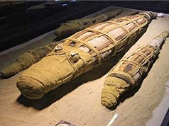 Phát hiện xác ướp cá sấu khổng lồ ở Ai Cập