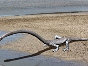 Tìm thấy hóa thạch quái vật biển sống trước khủng long
